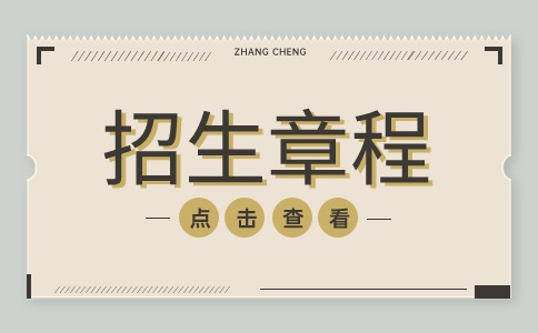 2024年江西泰豪动漫职业学院高职单招招生章程