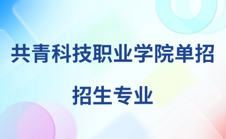 2025年共青科技职业学院单招招生专业
