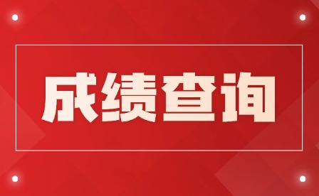 2025年九江理工职业学院单招成绩查询入口