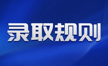 2025年江西艺术职业学院单招录取规则