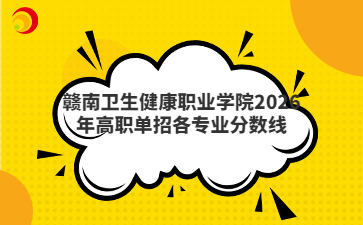 赣南卫生健康职业学院2026年高职单招各专业分数线